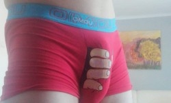 Maeleslut